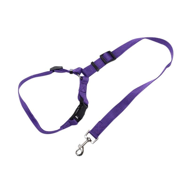 Pet Car Seat Belt Dog Seat Belt Dog Leash Traction Belts Cushioning Elastic Safety Rope Outdoor Traction Rope Dog Products